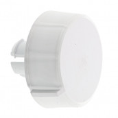 Original white button