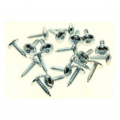 Bag 20 screws
