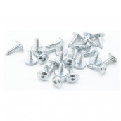 Bag of 25 screws