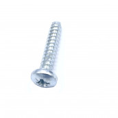 ST4.8x25 Screw