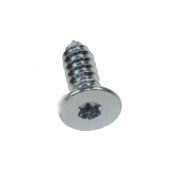 Special screw B 3,9 x 13