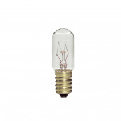 Bulb