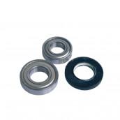 Bearing + seal kit