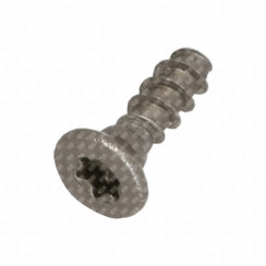 Screw TSP Torx 10 3x10