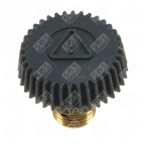 DRAIN PLUG STEAM CLEANER - 500587083