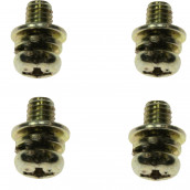 Screws (pack of 4) (4X80MM)
