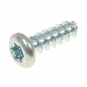 Torx screw 4x13