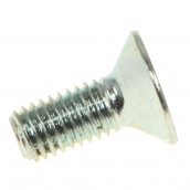 Blade protector fastening screw