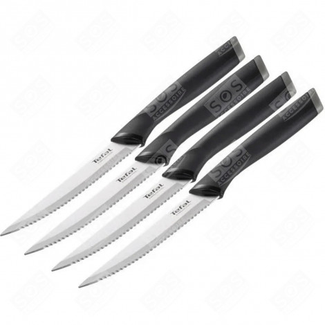 STEAK KNIVES 11 CM (STAINLESS STEEL) ACCESSORIES AND MAINTENANCE  - K221S414