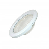 Complete door (original)