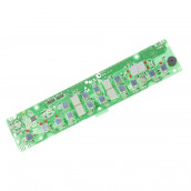 Electronic Module