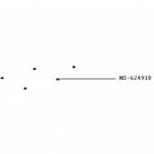 NESPRESSO VERTUO NEXT Foot