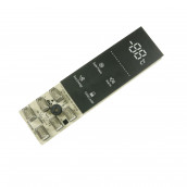 Electronic module