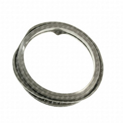 Door seal (gasket)