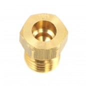 Natural gas injector (2.9)