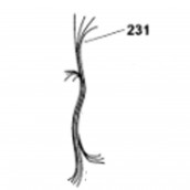 Thermistor wiring (mark 231)