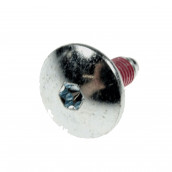 Pulley screw (original)