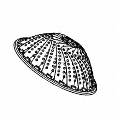 Steam Basket (14 cm)