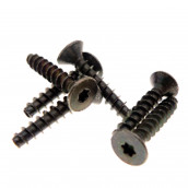 Door panel screw (x6)