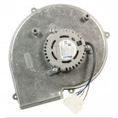 Original cooling motor