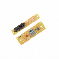 Electronic module