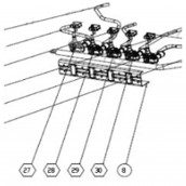 Sr tap (reference 29)