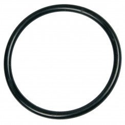 Distibutor O-ring