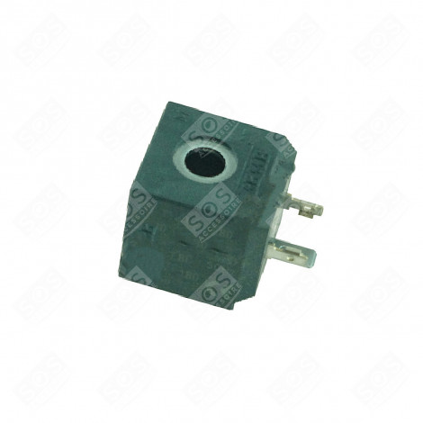 ORIGINAL 6W SOLENOID VALVE STEAM CLEANER - POM0000365