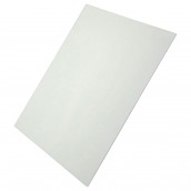 Middle door window seal