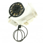 Fan motor