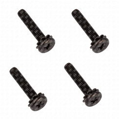 Set of 4 stand screws