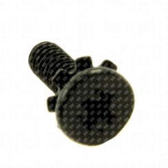 Foot screw (4X12MM)