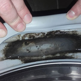 Mould on the door seal